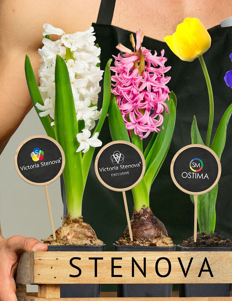 page-2 Stenova Magazine 2019 - фото 2