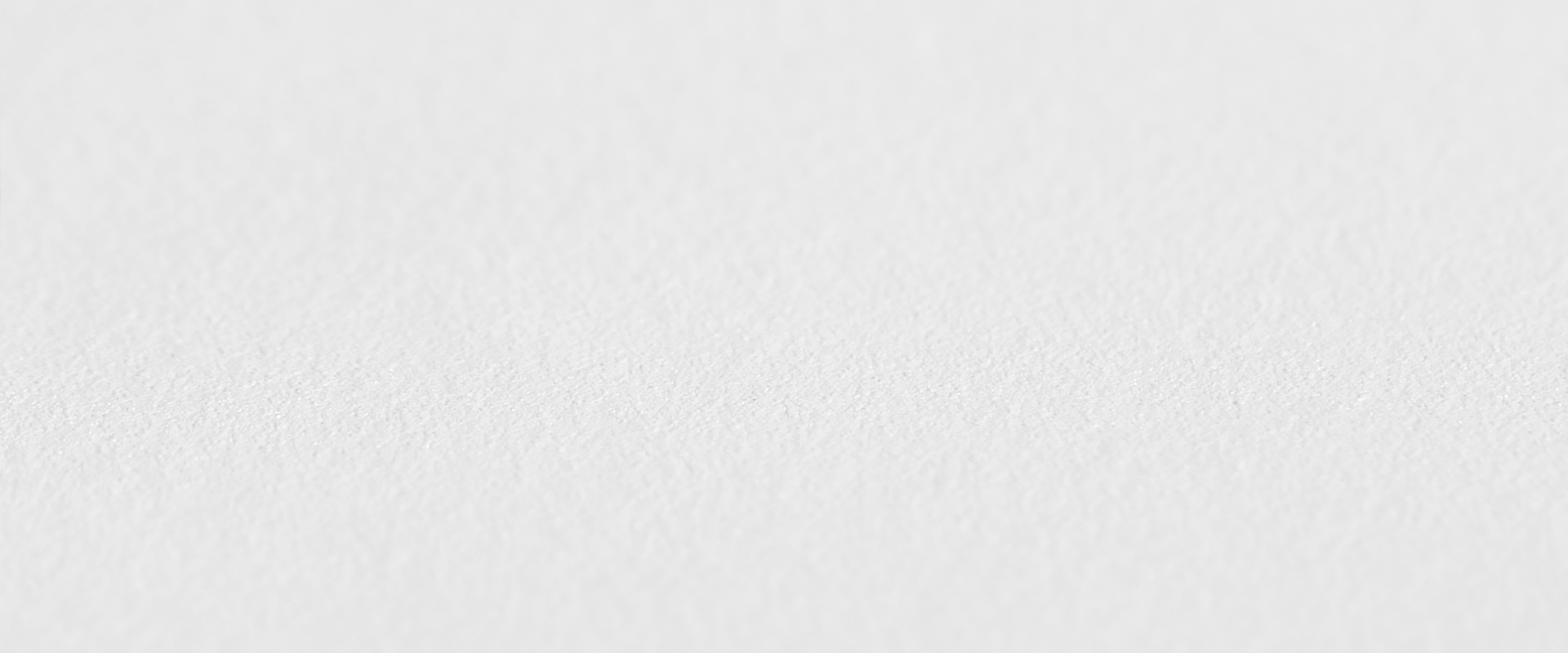 Малярный флизелин грунтованный винилом SOFT TOUCH PRO - Раппорт - фото 1