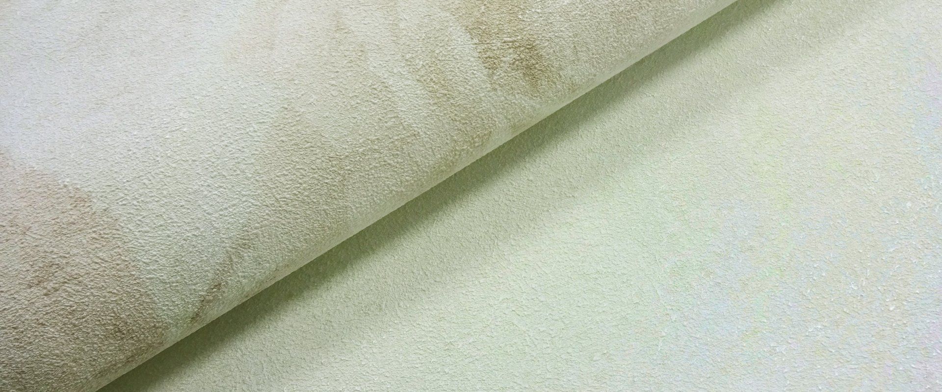 Мотив FIONA 188233 - Текстура - фото 1