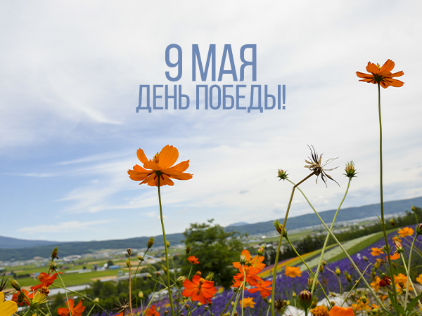 С Праздником! С Праздником!