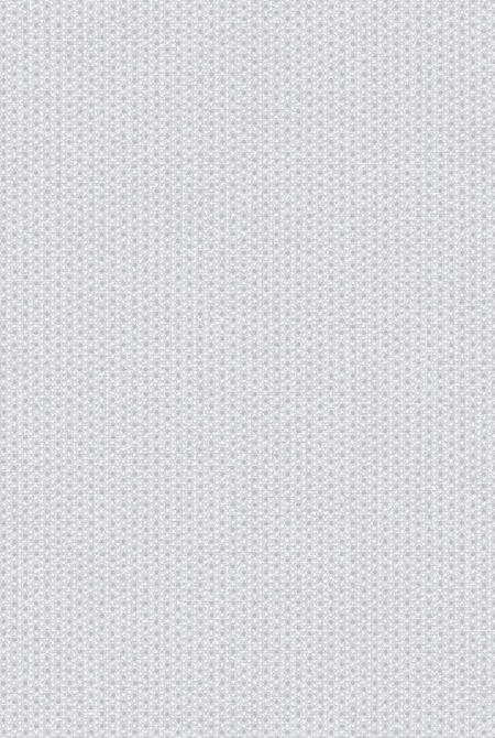 Фон DISCO 889027