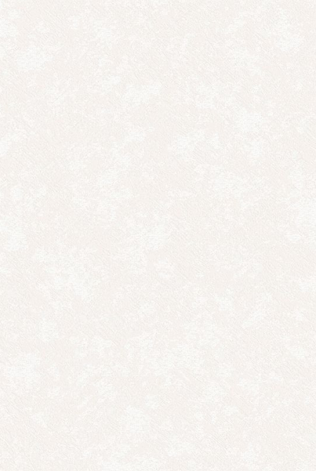 Фон ASTI 88425 