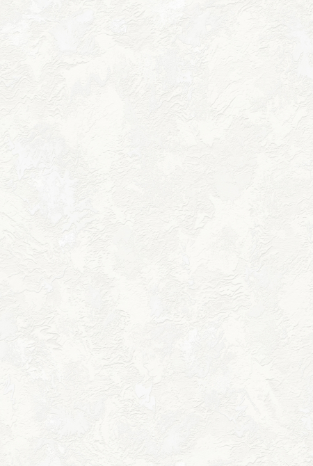 Фон ANKARA 88921