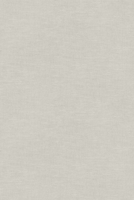 Мотив PANTONE 989922 Мотив PANTONE 989922
