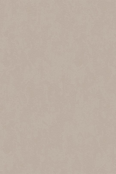 Фон ESTER 888144