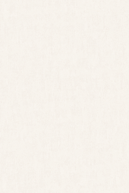 Фон BOUNTY 281222