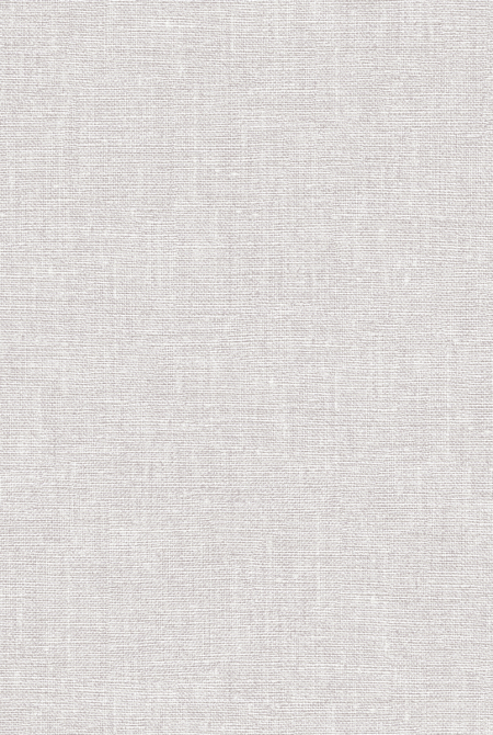 Фон COMFORT 98804