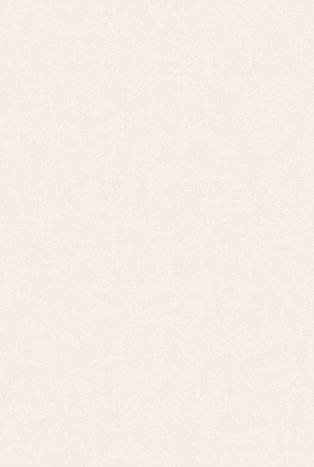 Фон BOUNTY 281221