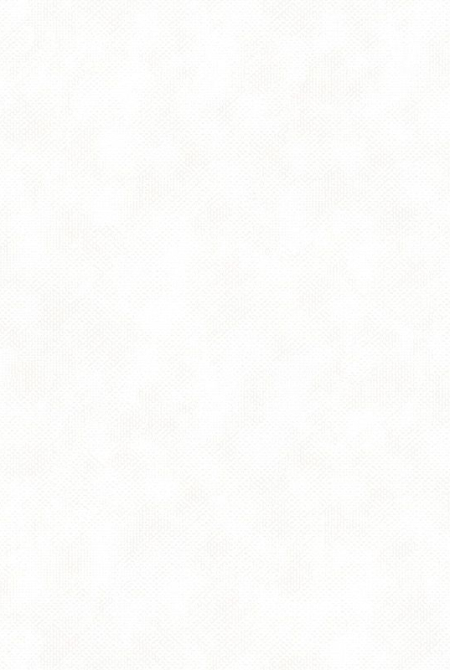 Фон SALUTE 989182